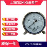 CYW-150B不锈钢差压表