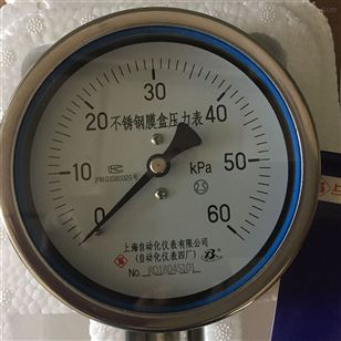 YE-100B不锈钢膜盒压力表上海自动化仪表四厂