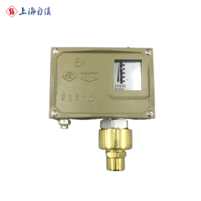 D500/7D（0812800）压力控制器-上海远东仪表厂【官网】